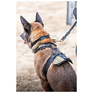 5.11 - Aros K9 Collar 1.5